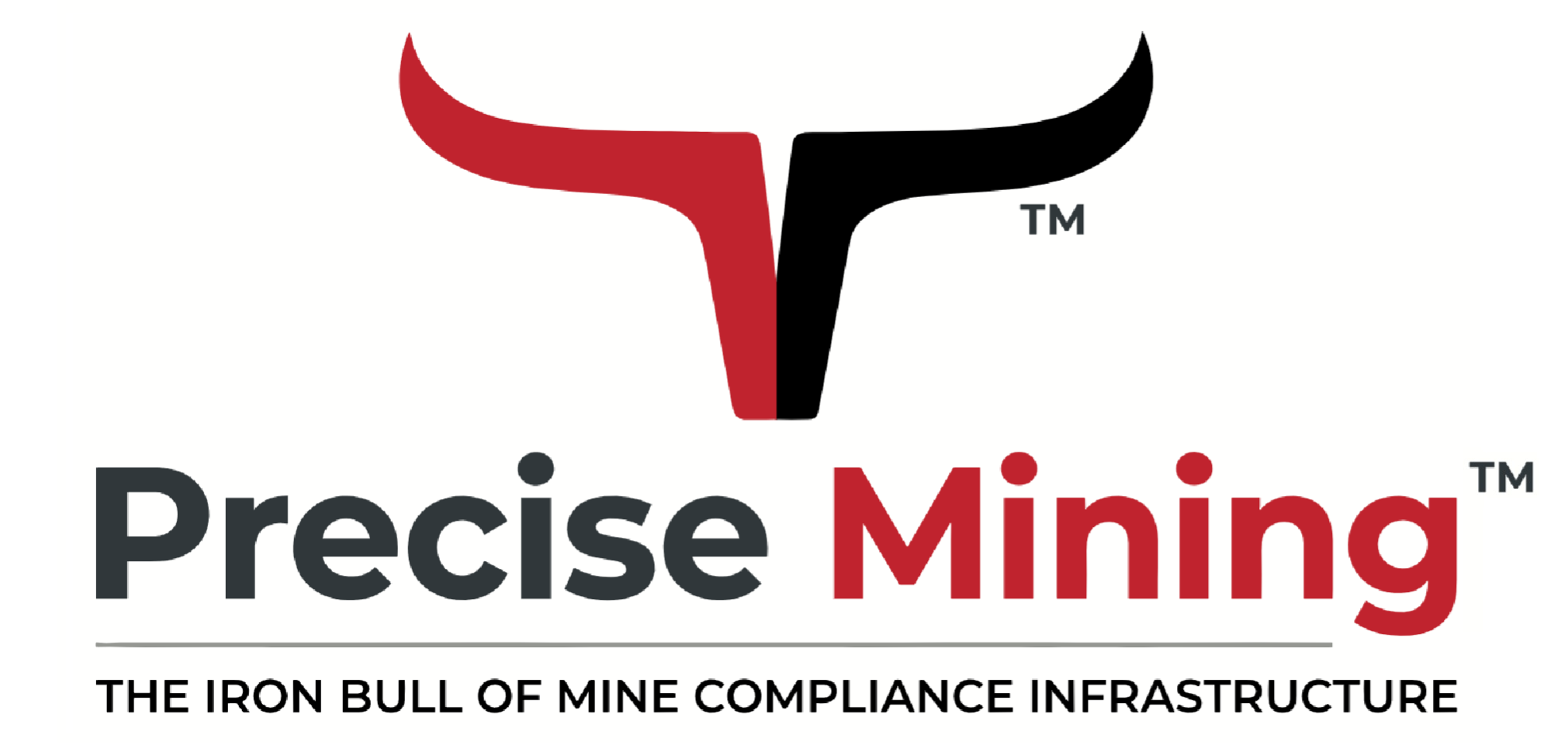Precise Mining